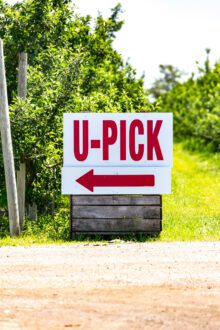 Blake’s Orchard & Cider Mill is seeing strong growth in its u-pick operations.