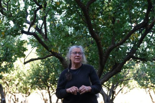 Annie Main of Good Humus Produce in orchard.