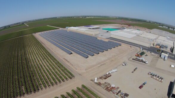 Aerial view of Sundale Vineyards' growing operations and solar panels.