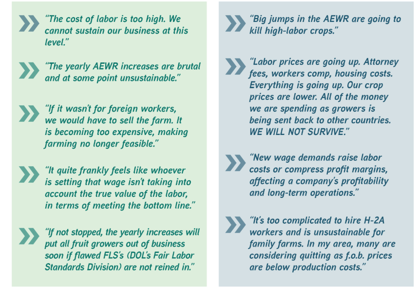 Quotes of growers expressing their labor concerns