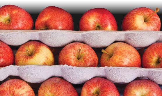 apples in wrapping