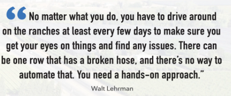 quote from Mountain View Packing