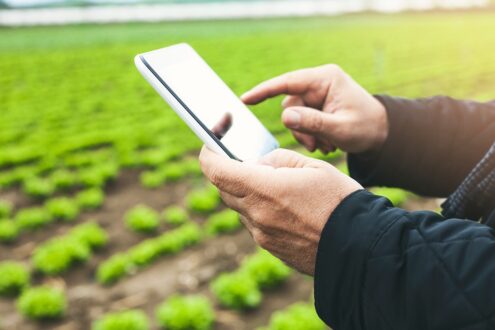 Farmer with tablet in the field.