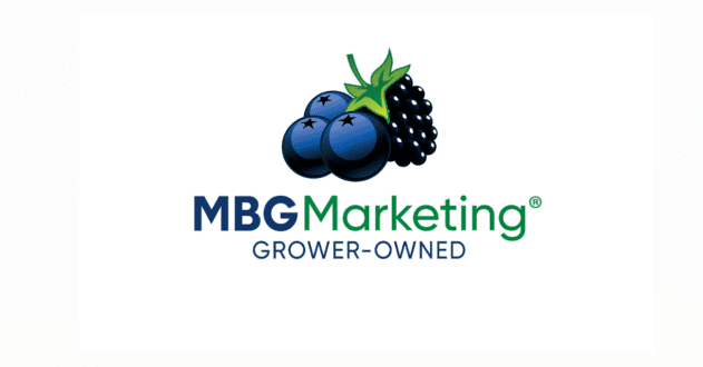 MBG Marketing