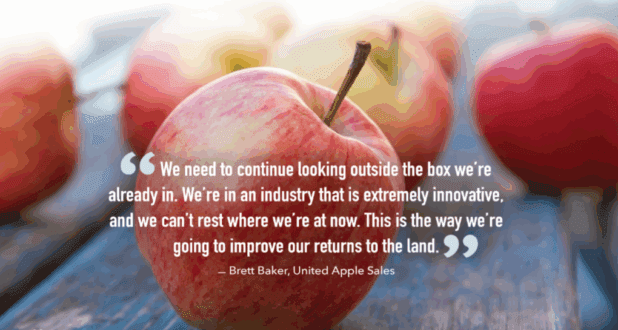 story pullquote