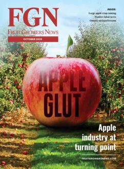 FGN October 2025 cover