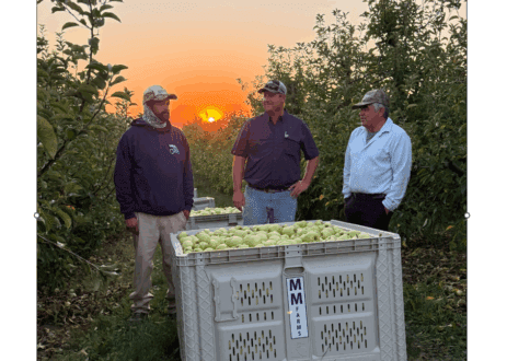 photo of men in front of harvest crate in orchard at MM Farms