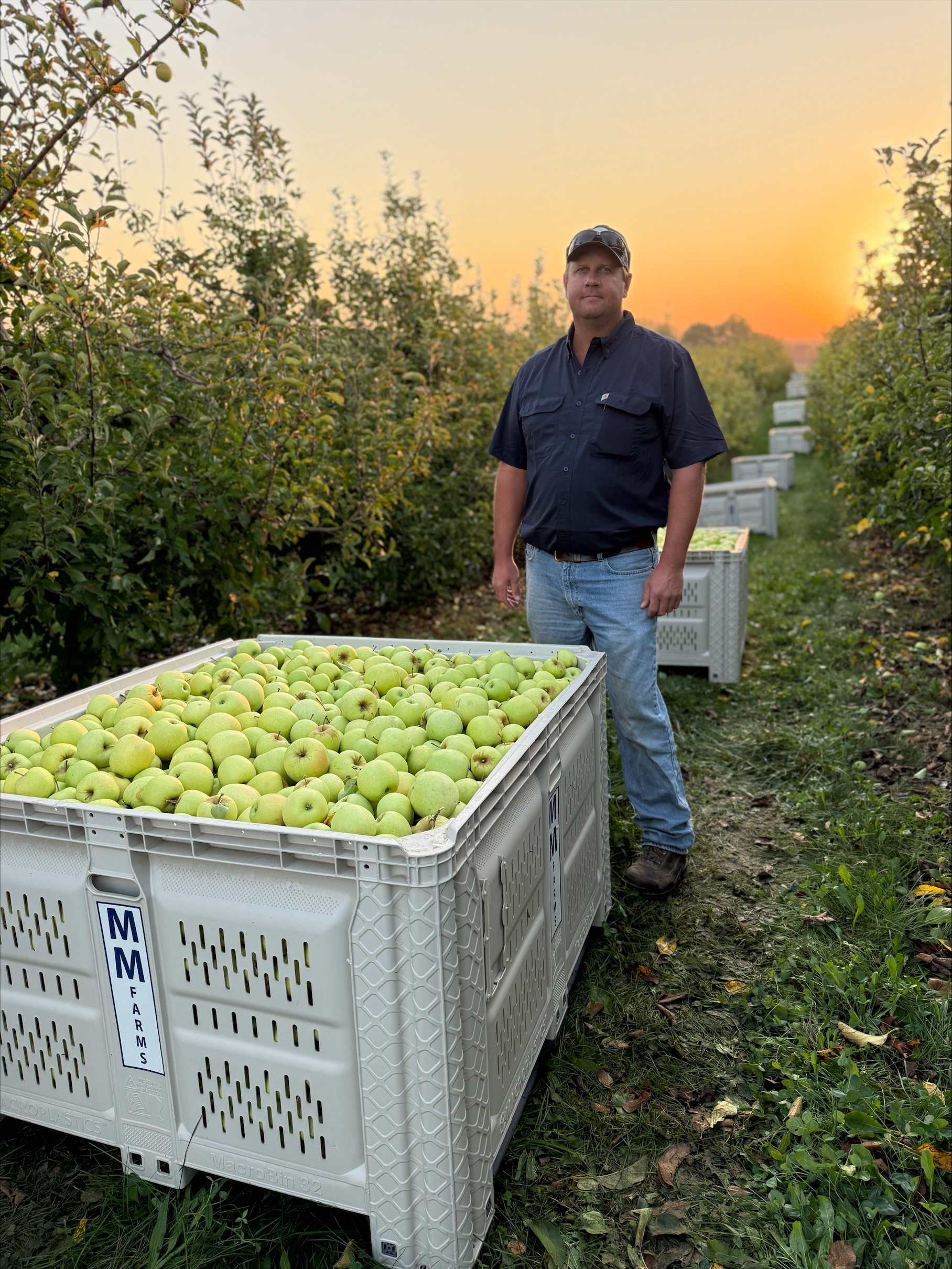 Photo of Kyle Weber in orchard with apple harvesting bin.