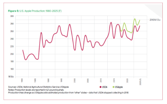 USApple production chart 2025-26 updated