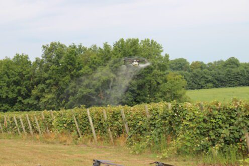 photo of drone flying over field at the Michigan Viticulture Field Day.