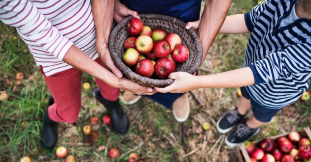 Top view of two adults and one child holding a basket of apples in orchard.