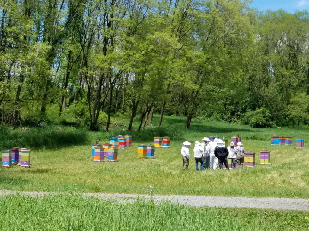 Resources help veterans find extended service