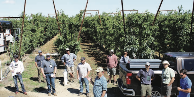 Grower innovations displayed in IFTA Summer Tour