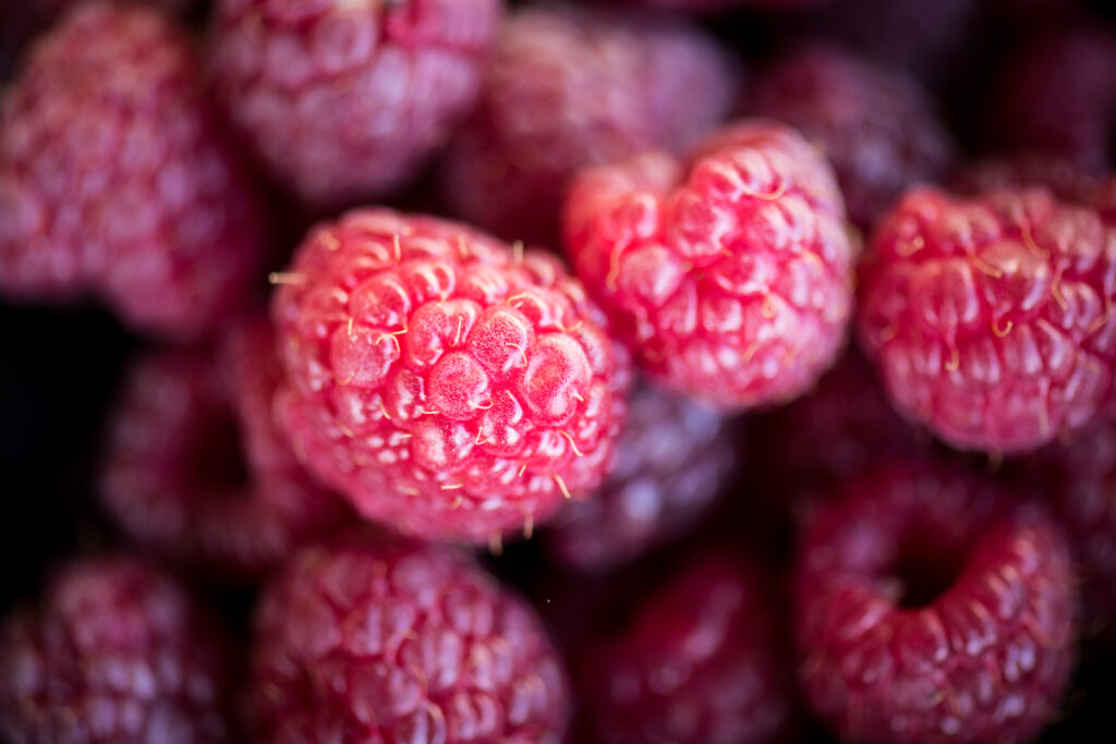 Anya Osatuke named Cornell CCE’s Western NY Berry Extension specialist