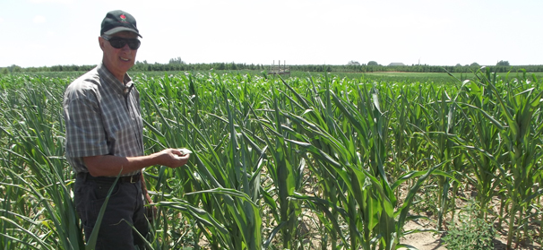 Farm markets scrambling to replace fruit