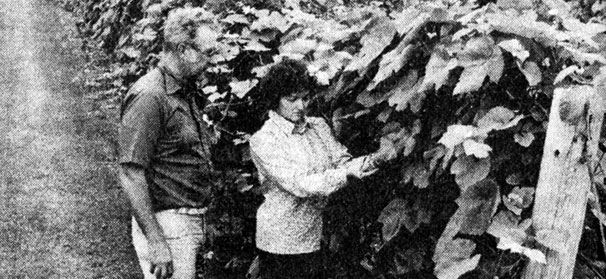Ohio researchers from 1981