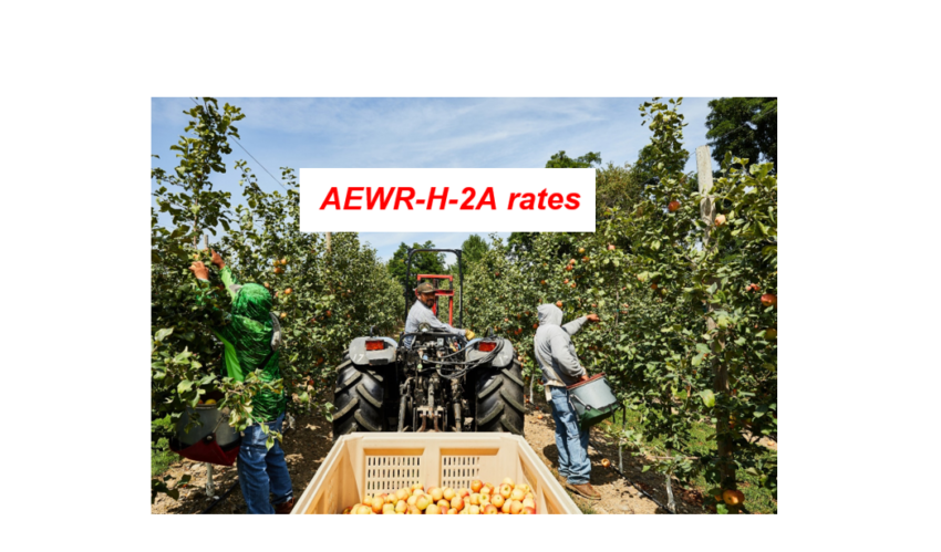 Ruling extends injunction against H-2A worker protections