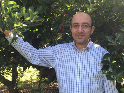 Field test could detect fruit-rotting diseases months before harvest