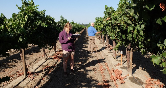 Global Biological Accelerator debuts at Salinas event