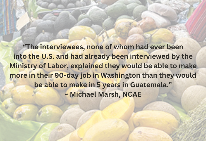 Quote from Michael Marsh about a trip with USAID to Guatemala to speak about ag labor.