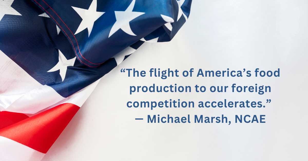 Quote from Michael Marsh, NCAE with a folded American flag in the background