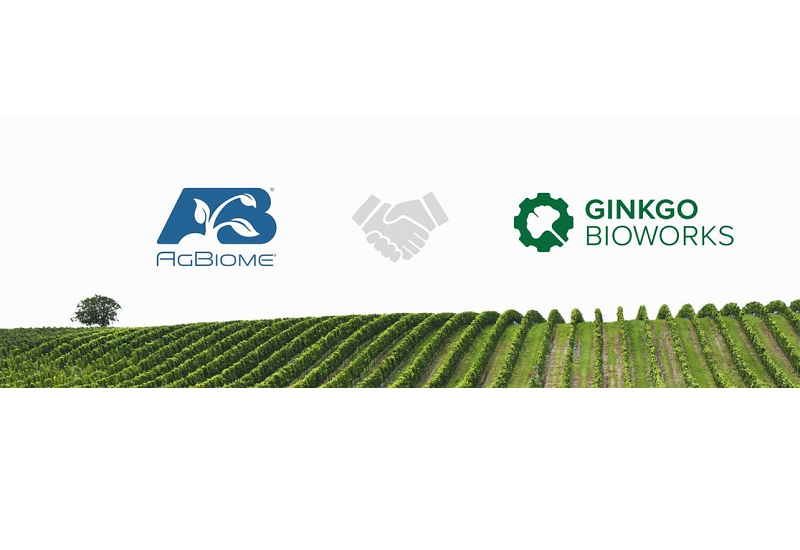 AgBiome to use Ginkgo Bioworks technology