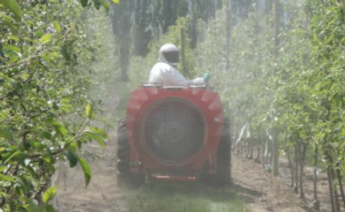 Effective and efficient spraying in vineyards and orchards