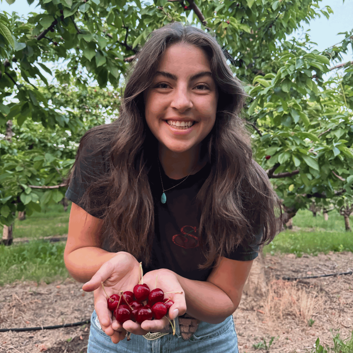 Alicea Shukin
Shukin Orchards