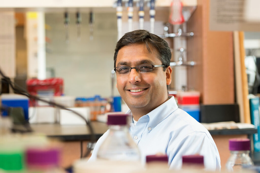 Dhingra joins Texas A&M; Doreen Main takes interim role at WSU