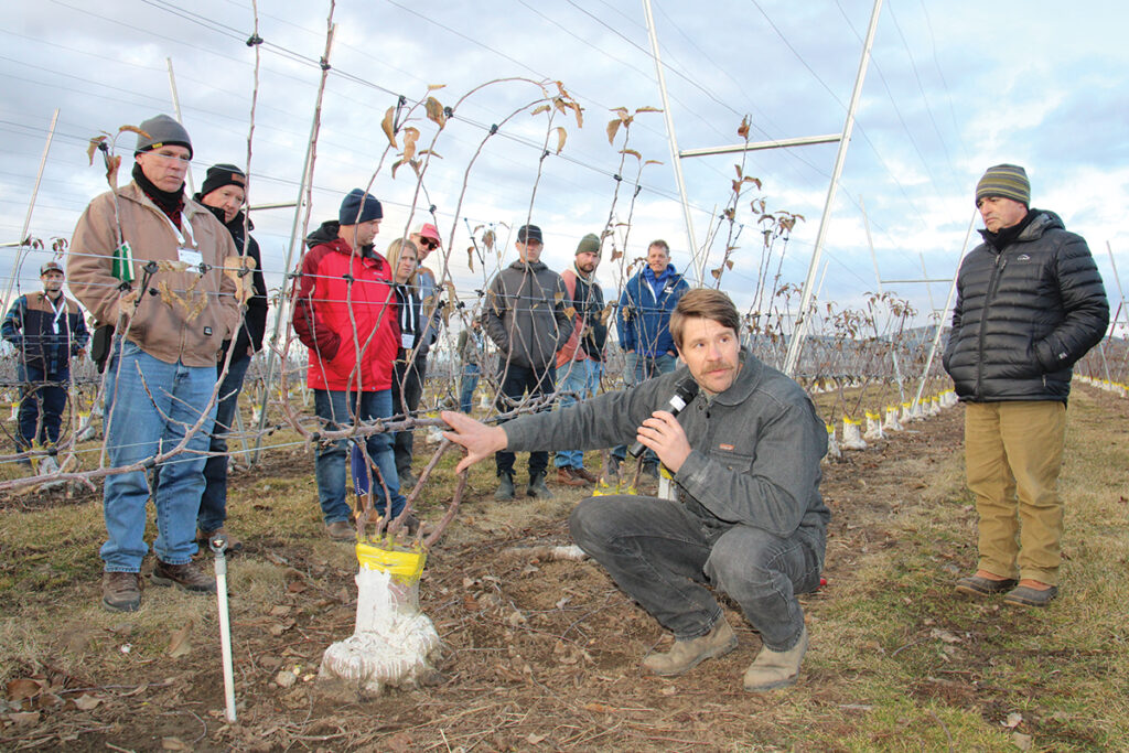 IFTA Yakima Valley tour provides orchard insights