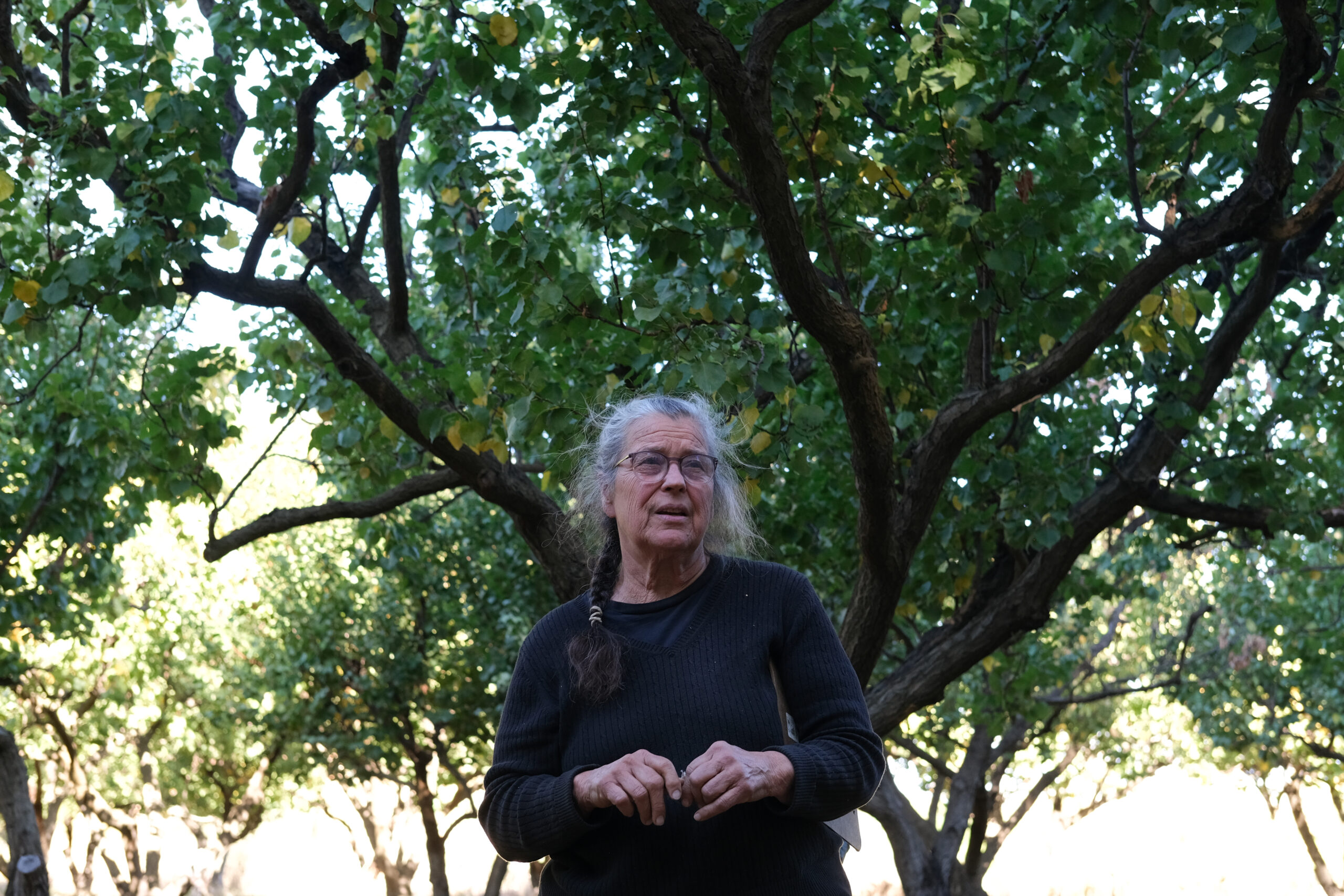 Annie Main of Good Humus Produce in orchard.