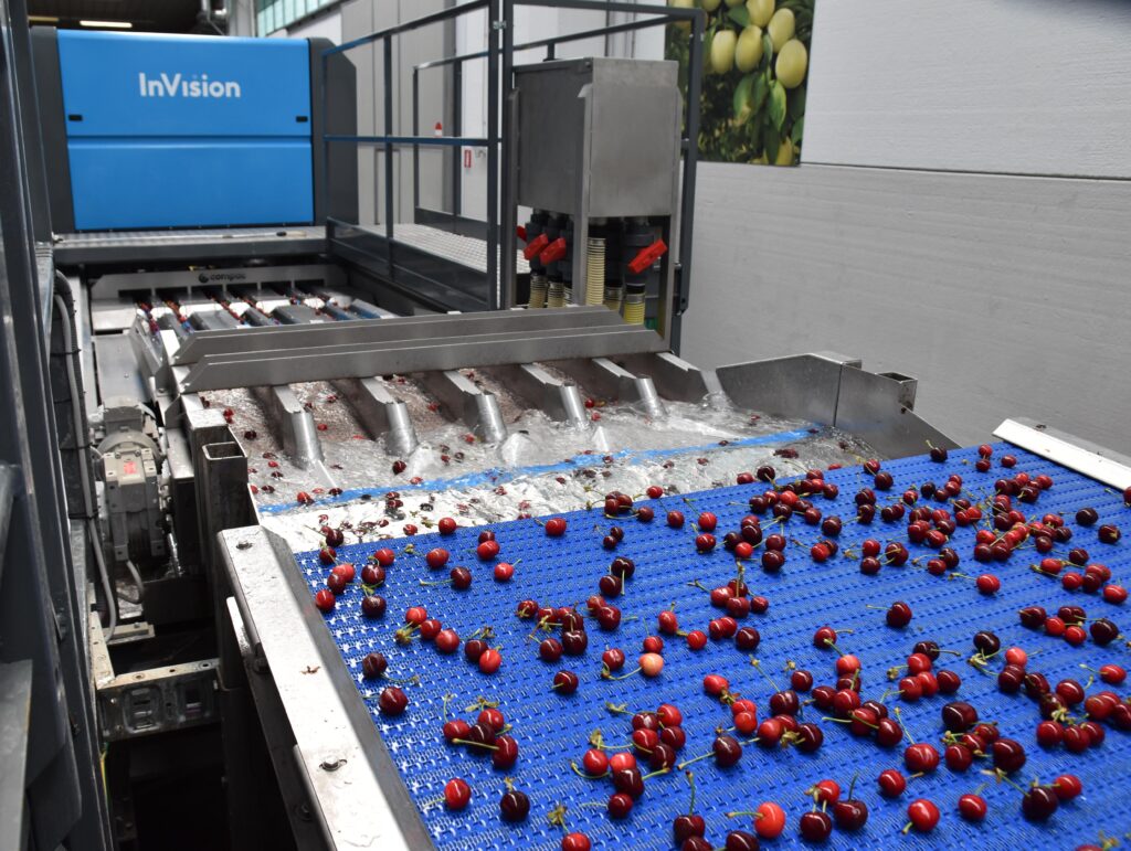 Compac InVision TotalView cherry sorting technology used by Apofruit