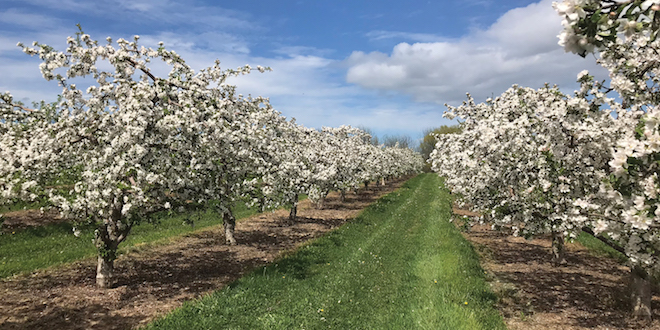 Legislation aims to ease path to land access for young growers