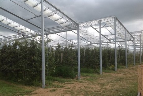 Convertible cover for protected apple cultivation unveiled