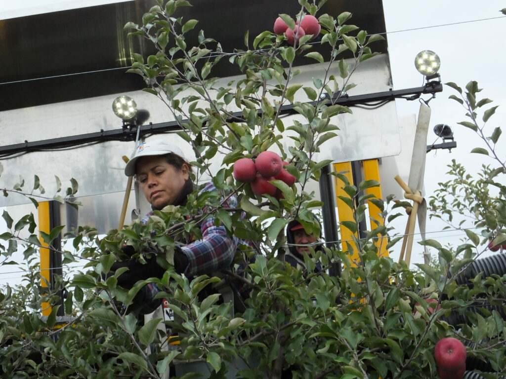 Bill proposes path to citizenship for farm laborers