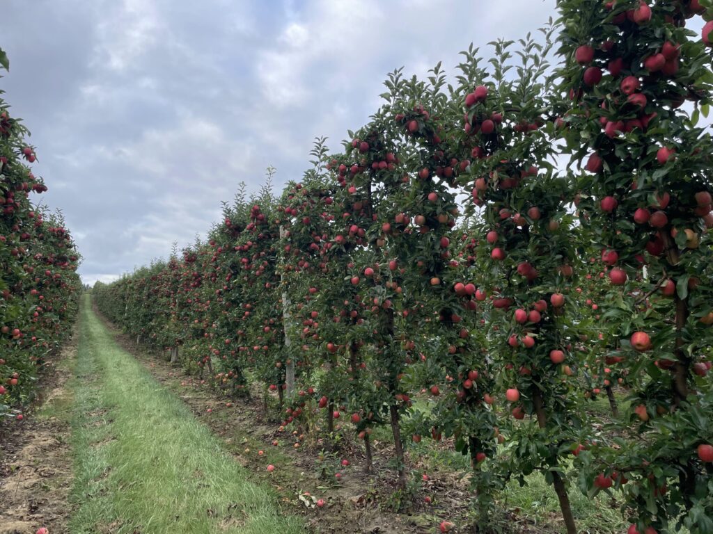 Strong connections and innovation at the 2025 Great Lakes EXPO