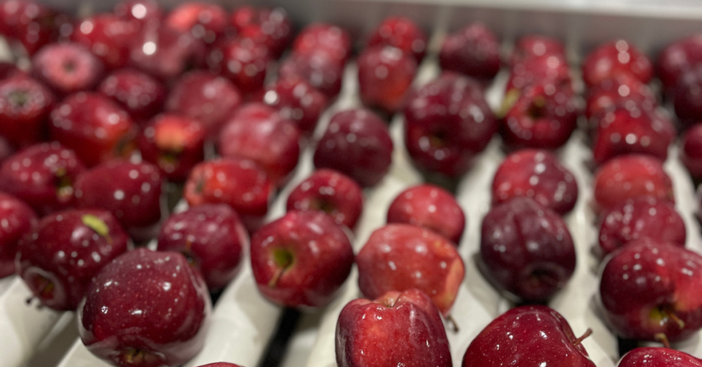Michigan Apple exports increase since 2020
