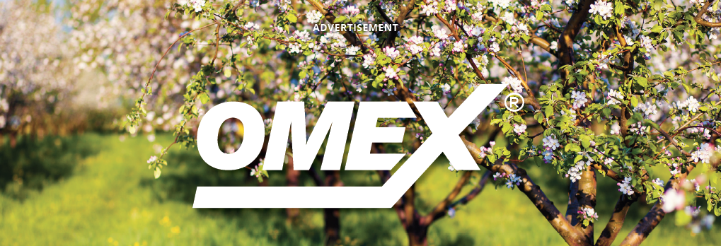 Sulfur: for a healthy crop, tasty and high-yielding