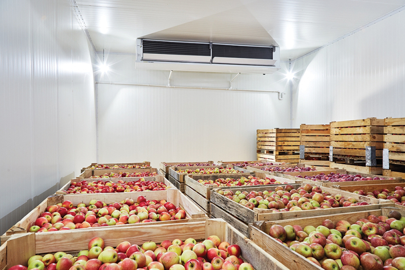 Some businesses are designing cold storage facilities to accommodate solar panels, while others are retrofitting existing storage areas with solar. Photo courtesy of Justin Woodward.