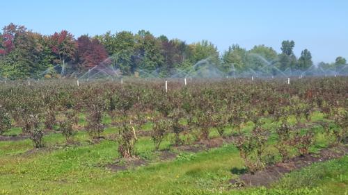 EPA approves pathogen treatment protocol for ag water