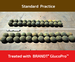 BRANDT touts new plant growth regulator as a ‘game-changer’