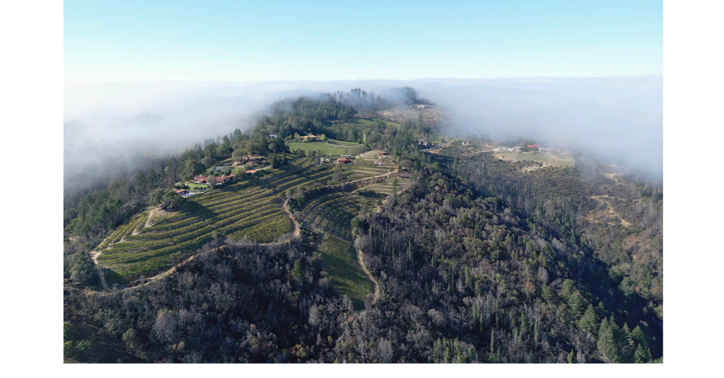 Barnett Vineyards celebrates 40 years