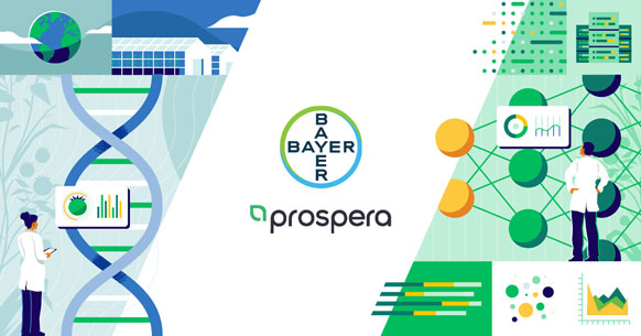 Bayer, Prospera Technologies to develop digital solutions for greenhouse growers