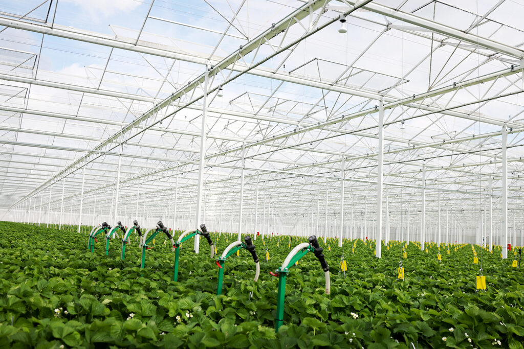 New automated beneficials dispenser at Biobest