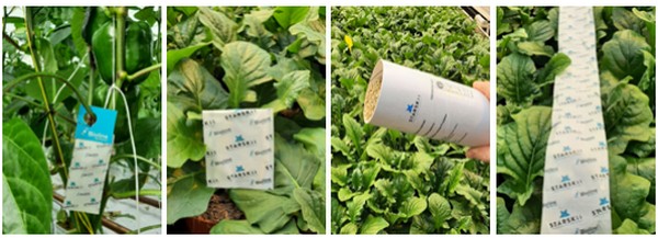 STARSKii, CART technology by Bioline Agrosciences improves biocontrol