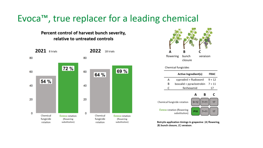 Biotalys releases field trial info for biofungicide