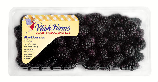 Wish Farms establishes year-round blackberry program