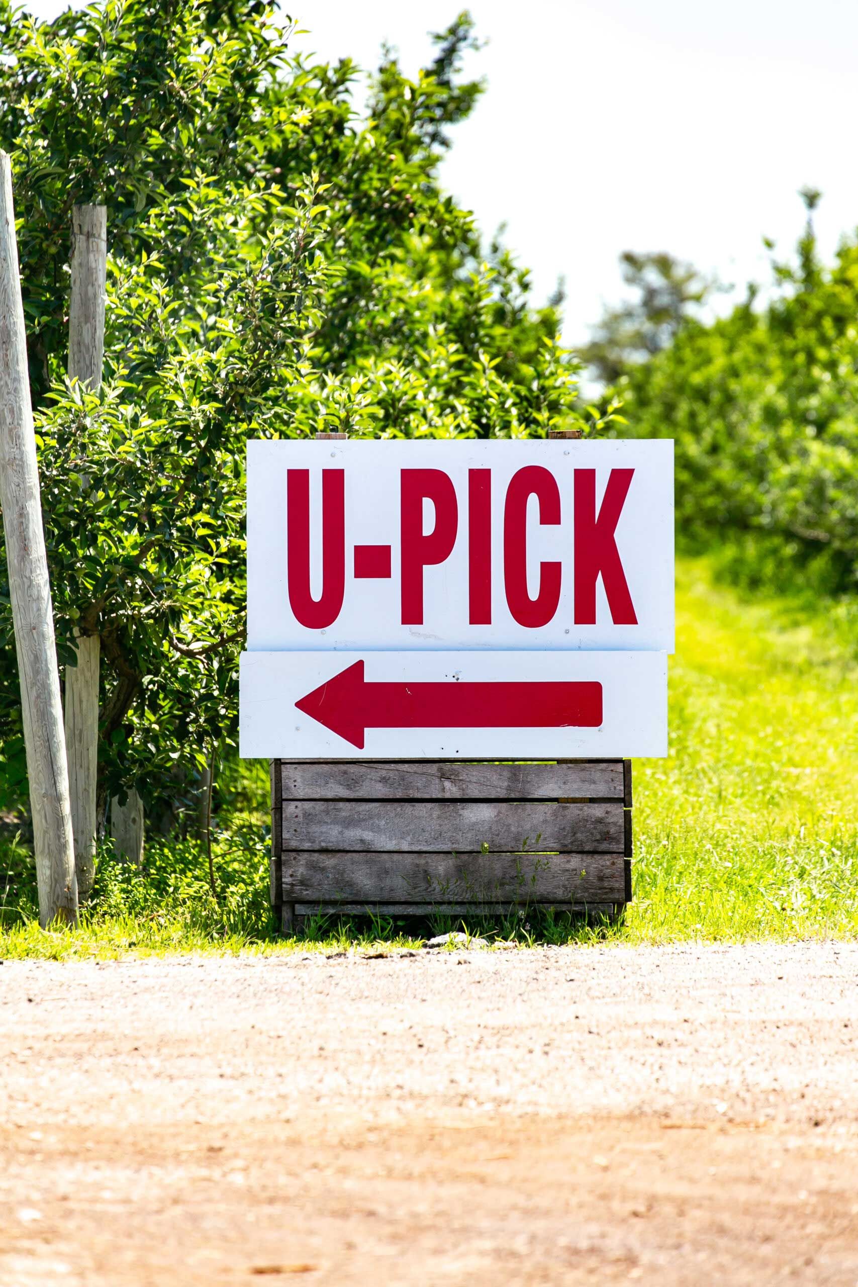 Blake’s Orchard & Cider Mill is seeing strong growth in its u-pick operations.