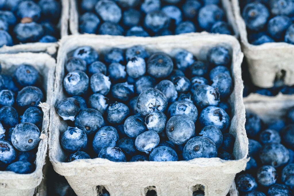 Meet the 2026 U.S. Highbush Blueberry Council board members, new chair
