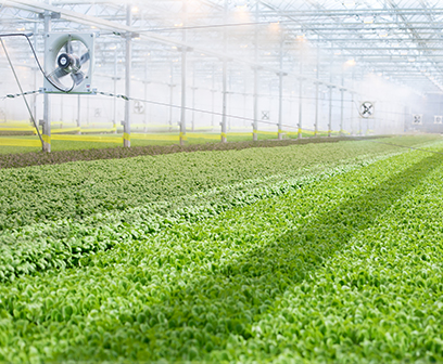 CEA Food Safety Coalition creates board, seeks members